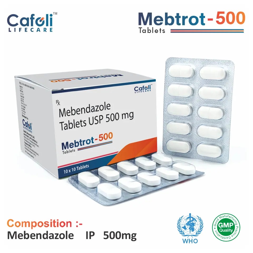 Mebendazole 500 mg Tablet PCD Pharma Franchise